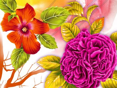 Bright Orange Hibiscus Magenta Double Petal Flower Art Illustration