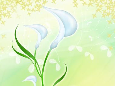 清新白色马蹄莲淡绿背景花卉装饰插画壁纸
