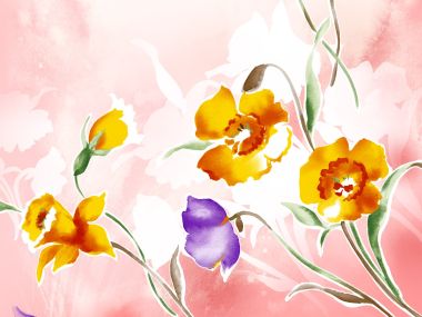 Fresh Watercolor Daffodil Flower Illustration