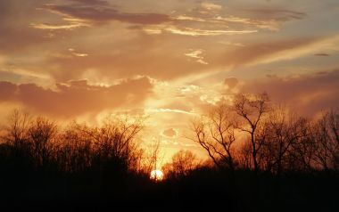 郊野乡村日落晚霞枯树剪影自然风光