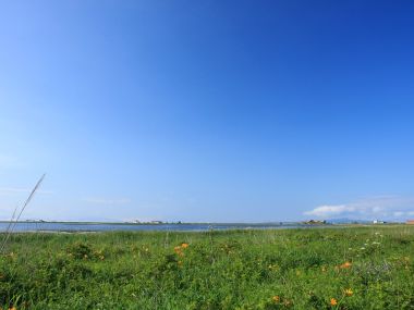 日本北海道夏日湿地原野晴空自然风光