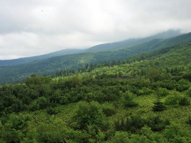 日本北海道夏季云雾山林自然景观