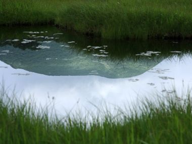 日本北海道夏季湿地草甸水面远山倒影