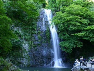 日本夏日翠绿森林瀑布自然风光