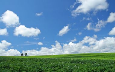 日本北海道夏日郊野蓝天白云田园风光