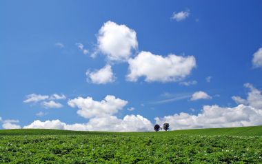 日本北海道夏日晴空绿野田园风光