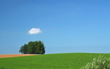 日本北海道夏日郊野田园风光