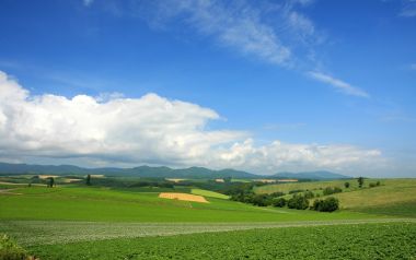 日本北海道夏日田园风光