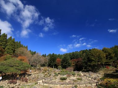 日本六甲山秋日山林观景步道风光