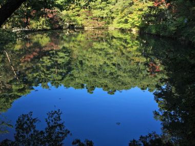 日本六甲山秋日湖泊倒影风景