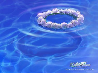 KAGAYA 水晶傍晚 蓝调水面漂浮白色花环梦幻插画
