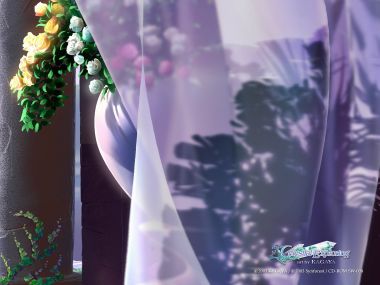 加贺谷穰 Celestial Exploring 系列 梦幻薄纱花境唯美插画