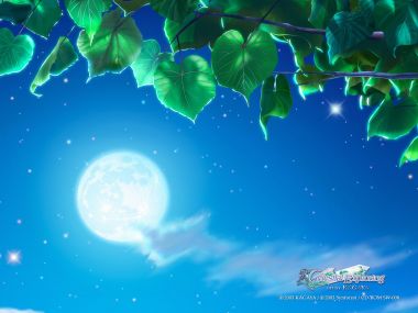 加贺谷穰 天界探索系列 满月星空绿叶梦幻插画