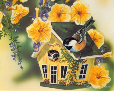 春日黑顶山雀花卉鸟屋田园手绘插画