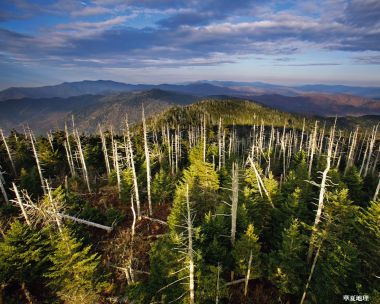 美国大雾山国家公园山地森林晨光风光