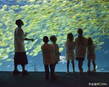 华夏地理壁纸 – 摄影师镜头下的精彩世界