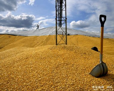 国家地理 大规模玉米粮堆农业生产纪实摄影