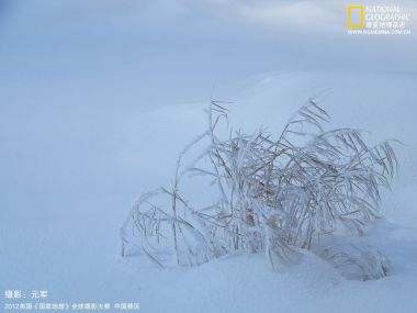 2012国家地理摄影大赛 冬日雪地覆霜枯草雪景