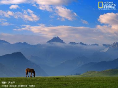 中国高山草甸骏马远眺雪山 国家地理获奖风光摄影作品