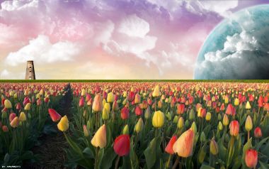 超现实奇幻郁金香花田 粉紫天空巨型异星景观