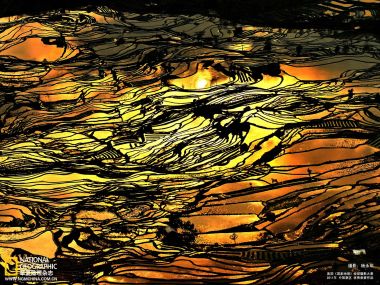 云南元阳梯田日落金色光影大地景观