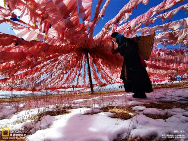 中国藏地冬日雪地经幡下的藏族妇女纪实摄影