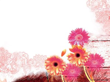唯美粉色非洲菊装饰花卉插画