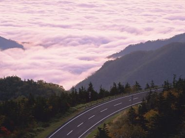日本山间盘山公路粉紫色云海日出风景
