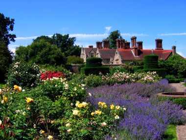 英国西萨塞克斯郡Borde Hill花园 玫瑰与薰衣草夏日盛景