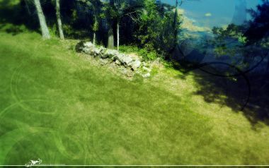 夏日郊野青草地湖畔树林创意风景壁纸