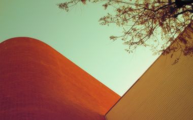 复古胶片仰拍 弧形红墙建筑与淡青天空树影