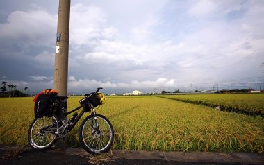 中国台湾郊野稻田旁的骑行自行车风光