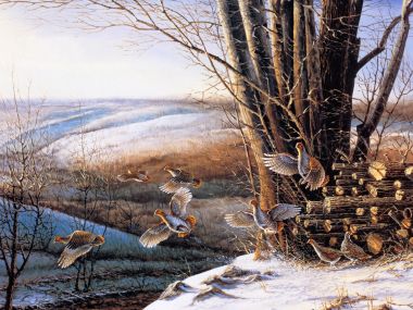 Terry Redlin 冬日郊野鹧鸪起飞风景油画