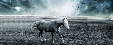 Surreal White Horse Alien Planet Ranch Cg Art Wallpaper