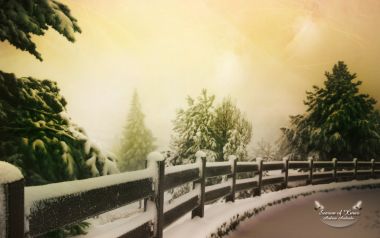 圣诞季暖光冬日雪景 覆雪木栅栏松林晨雾