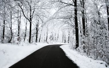 新西兰冬季雪后林间公路雪景