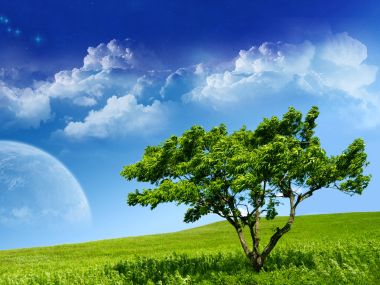 超现实奇幻草原孤树异星蓝天风光壁纸