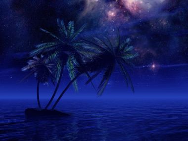 热带海岛椰树星空夜景