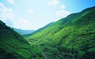 夏日晴日漫山青绿山野山谷自然风光
