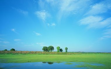夏日辽阔草原湿地晴空自然风光