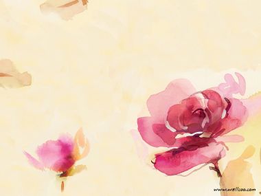 清新淡雅水彩玫瑰花卉插画