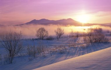 中国东北雪原冬日日出晨雾自然风光壁纸