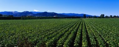 Sunny Blue Sky Farm Cropland Mountain Panoramic Scenery