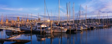 Auckland New Zealand Dusk Yacht Marina Panoramic Scenery