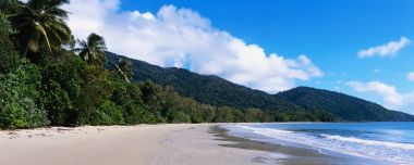 Australia Tropical Coconut Beach Natural Scenery Panorama