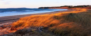 Sunset Glow Coastal Beach With Golden Sea Grass Panorama
