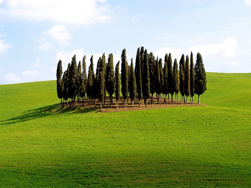 0Scenic_Siena_Province_Tuscany_Italy