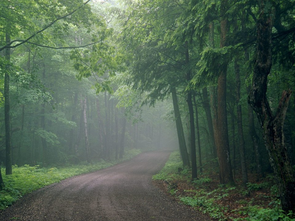 0Summer_Travels_Door_Bluff_County_Park