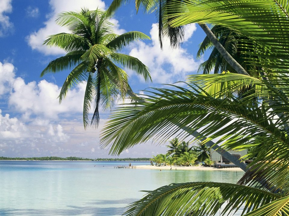 0Takapoto_Island_French_Polynesia