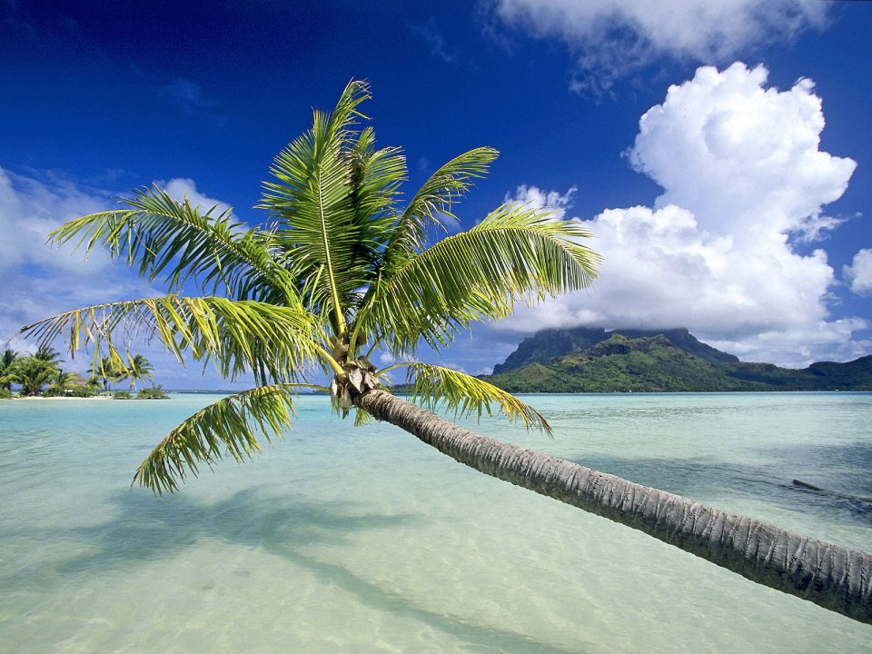 0Tropical_Escape_Bora_Bora_French_Polynesia